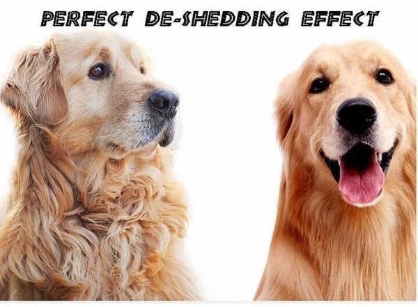 ð¥Hot Sale 49% OFFðPet Safe Dematting Comb