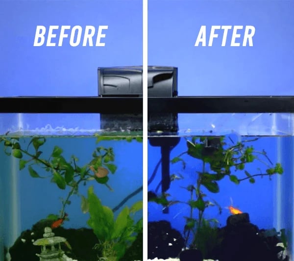 🔥49% OFF🔥-Aquarium Water Purifier Cube