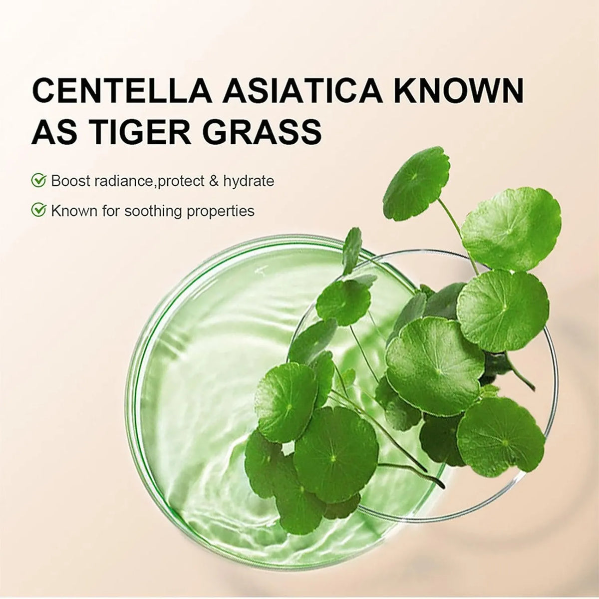 🔥Hot Sale 49% OFF-💖Hydrating CC Cream Foundation with Centella Asiatica