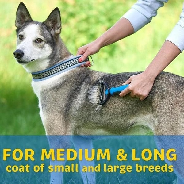 🔥Hot Sale 49% OFF🎁Pet Safe Dematting Comb